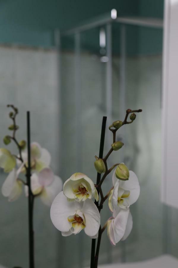Casa Ercoli Boito Apartment วินชี ภายนอก รูปภาพ